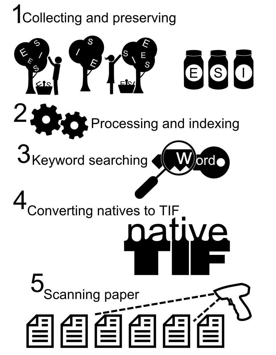 categories of ediscovery services: Collecting and preserving Processing and indexing Converting natives to TIF Keyword searching Scanning paper S I E E E S S S S S S E I I I E S S E E I ord w 1 2 3 4 5 E